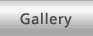 FlexBlox Gallery